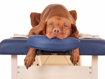 5351acc62d3f11b32cb97bae26f91321