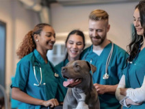 e27405cd3bab3a4cad1d54ae3510a9ce