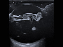 ec4d609e12f6d6ceb9706b8005b4deab