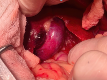 6154542afc6f0d4d29d92dfb4a8f398a