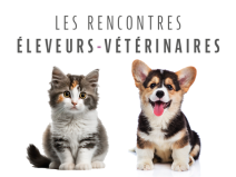 92a6009f743e1c51cc7c1e400ee2f46f