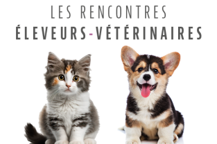 92a6009f743e1c51cc7c1e400ee2f46f