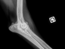 f6e300866b217e37dbc55bd2fceb8767