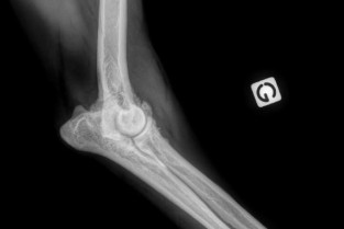 f6e300866b217e37dbc55bd2fceb8767