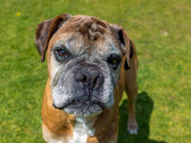 713a4d495fba4a3129beaa9fdf6ad8b7