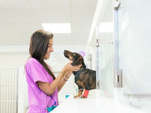 c713b95d03ae4e1d7d260e3451ef3e41