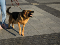 771690b535a9c7b463a07922c593c826