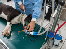 094b63d485f5583b6be04e9def17bec6