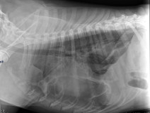 9e867a0a7658af8b76d9bd68aa740780