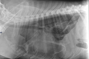 9e867a0a7658af8b76d9bd68aa740780