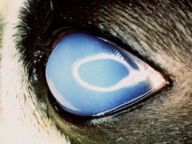 e2dd7a60b35949e9b64bcb242ba1a2c0