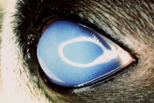 e2dd7a60b35949e9b64bcb242ba1a2c0