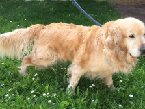 0fbb2dc74a1d983df586def2a9a6a763