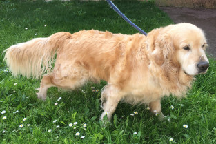 0fbb2dc74a1d983df586def2a9a6a763