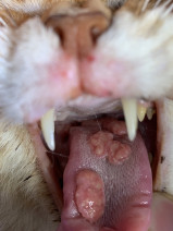 23898dc65d915a41abe631c7c733e367