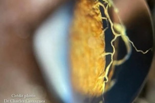 893d67e022f420c17ab085e1a30c73e6