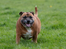 e406b091279c849f28becf44339c8328