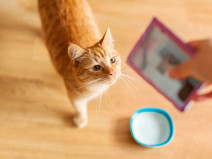 ceb6175d73b748622c62729f0ca07749