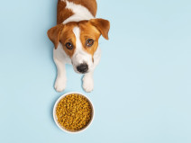 e058f9992a7bc35e7ef64f2ed3cee1f6