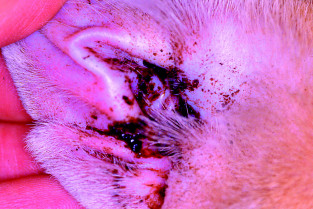 480add45d2983c1baae74a3be458cc3b