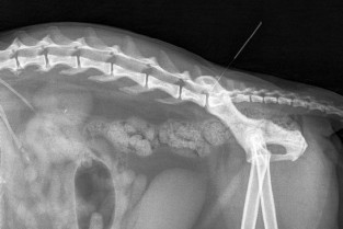 f5ff6bb016f752059618b859d9f4a37b