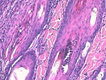 09edec88e927c872f29b6ae835c1ab5e