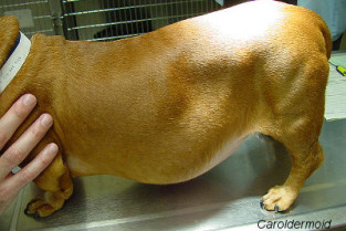 7153764ecd8cdceeacd70b0143740947