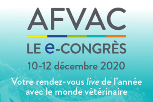 16fdec9fd0f2132aa4776a52bb2d9fd0