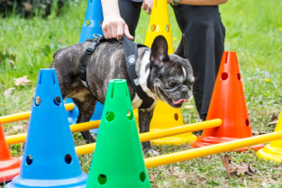 0777702121d549fbbe8c62bf04e4b131