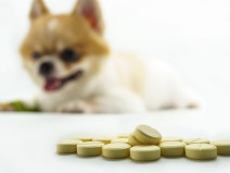 88886e57dffb052eec513a9e6e5c6694