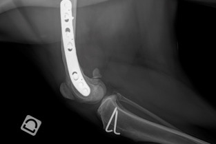 524e155dfec996ed44fe94f3a5e08b5d