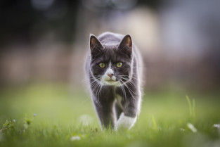 a39da3dcc3543371d16c6dc6fff786fc