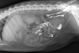 35e7411585b576f33f4ad7ce90cd065a