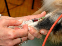 0fc448f5069f366ff7a8d4477e238e33