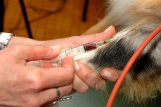 0fc448f5069f366ff7a8d4477e238e33